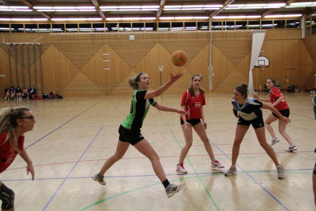 2016_01_16 Landesliga Jugend 19